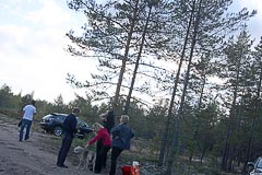 В ожидании новостей В ожидании новостей