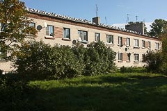Чайки на крыше Чайки на крыше