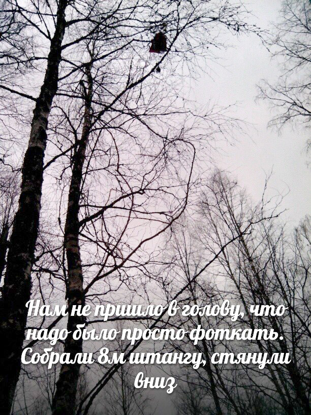 Трек вокруг сосны с КП Трек вокруг сосны с КП