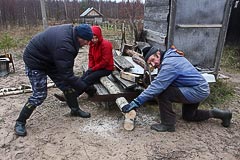 Заготовка дров Заготовка дров