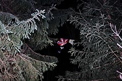 Парашют на дереве Парашют на дереве