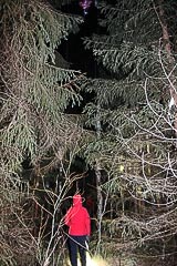Парашют на дереве Парашют на дереве