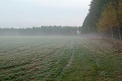 Туманное утро Туманное утро