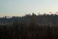 Луна Луна