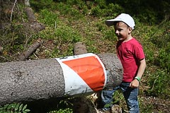КП-21 КП-21