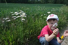 Анатолий Булавинов с ромашкой Анатолий Булавинов с ромашкой
