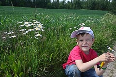 Анатолий Булавинов с ромашкой Анатолий Булавинов с ромашкой