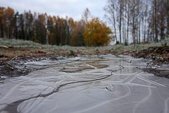 Ледок на лужах Ледок на лужах