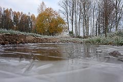 Ледок на лужах Ледок на лужах
