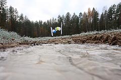 Ледок на лужах Ледок на лужах