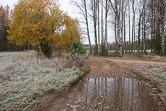 Золотая осень Золотая осень