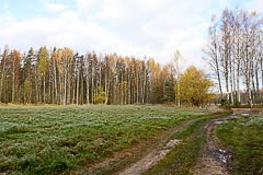 Участники разъехались… Участники разъехались…