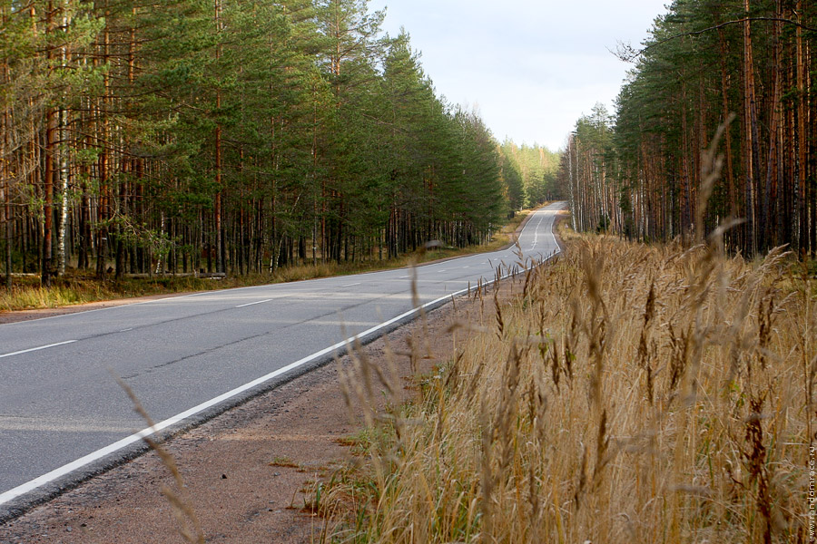 Осеннее шоссе Осеннее шоссе