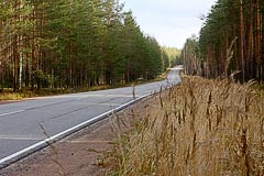 Осеннее шоссе Осеннее шоссе