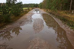 Дорога вдоль поля Дорога вдоль поля