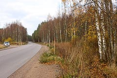 Осеннее шоссе Осеннее шоссе