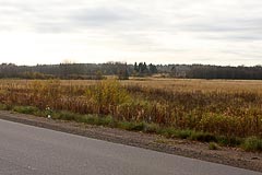 Осеннее поле Осеннее поле