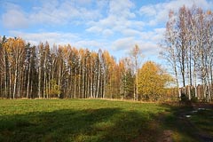 Стартовый луг Стартовый луг