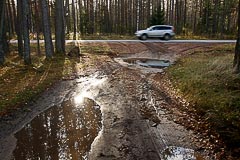Лесная дорожка Лесная дорожка