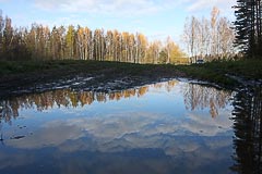 Лужи на старте Лужи на старте
