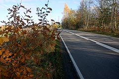 Осеннее шоссе Осеннее шоссе