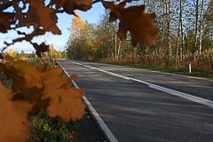 Осеннее шоссе Осеннее шоссе