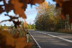 Осеннее шоссе Осеннее шоссе