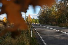 Осеннее шоссе Осеннее шоссе