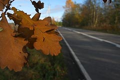 Осеннее шоссе Осеннее шоссе