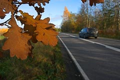 Осеннее шоссе Осеннее шоссе