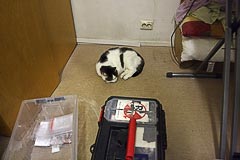 Кошка мотеля «Огоньки» Кошка мотеля «Огоньки»