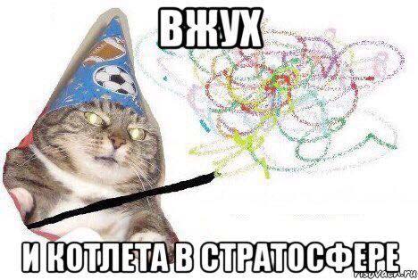 Вжух, и котлета в стратосфере Вжух, и котлета в стратосфере