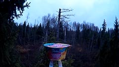 Смеркается… Смеркается…