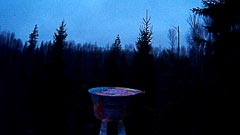 Темнеет… Темнеет…