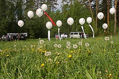 Шары и одуванчики Шары и одуванчики