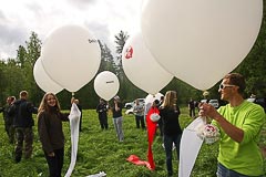 Команда «Свободные» Команда «Свободные»