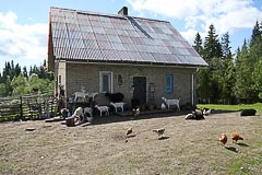 �� ������ ���� ��&nbsp;������