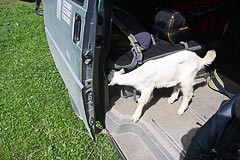 ���������� ������� ��� �������