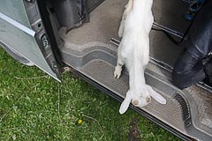 ���������� �������