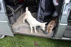 ���������� ������