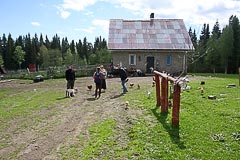 ��������