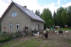 ��� 1911&nbsp;���� ���������