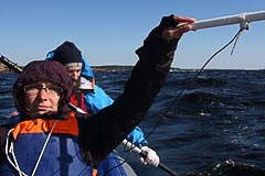 ���� �����������