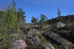 ������� �������� �������