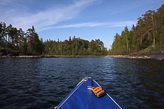 ������ ����� ���������