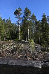 ��������� �����