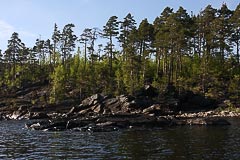 ��������� �����