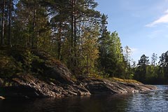 ������� �������� �������