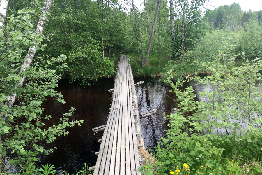 ������ ����� ����� �������� (?)