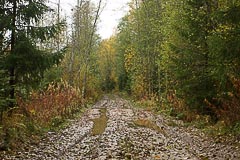 Появляются лужи Появляются лужи